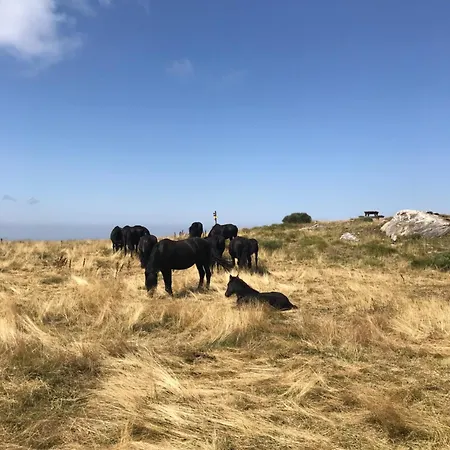 Appartement Chalet Apartamento Montferrier